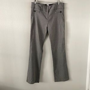 Junior’s Dress Pants
